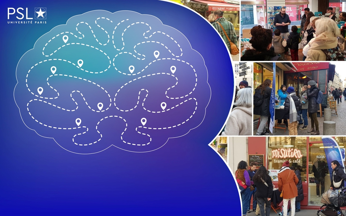 Cerveaux en Boutique