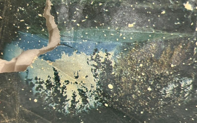 © Alexandra Kadzevich, 2024