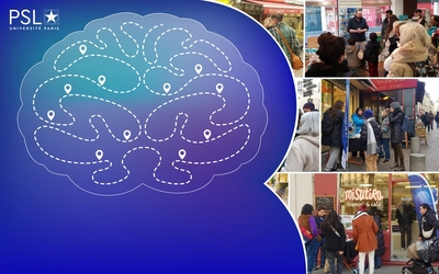 Cerveaux en Boutique