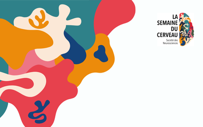 Semaine du cerveau