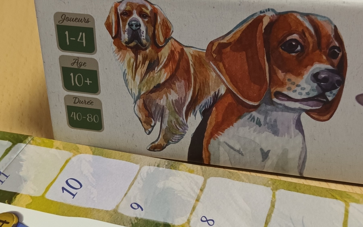 jeu de société sur les chiens