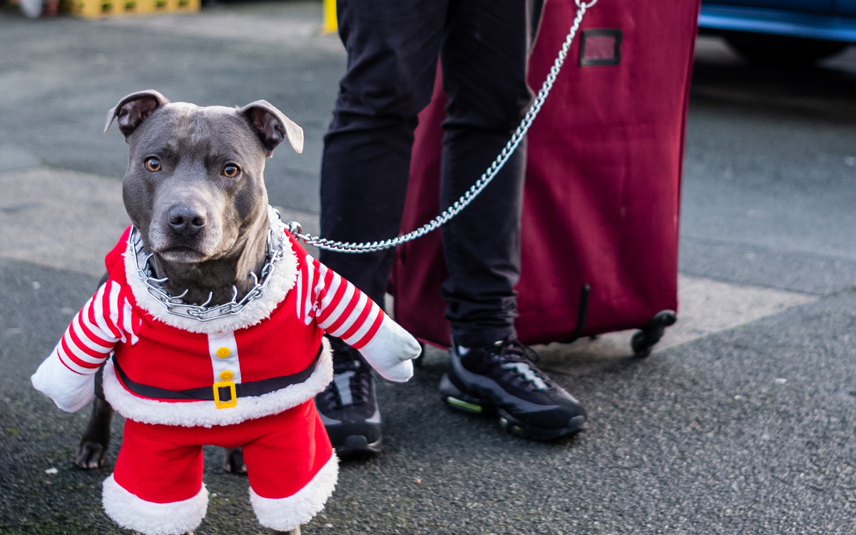 Street fantasy, Pareil mais autrement !