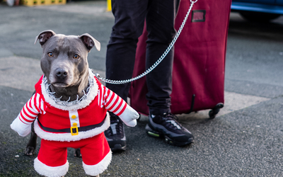 Si la rue est un spectacle, le spectacle y est différent