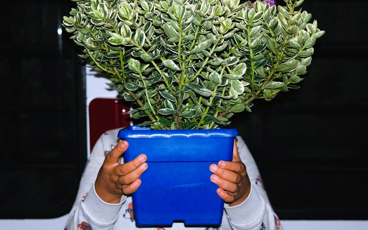 Je capte les fleurs en mouvement dans une approche brute et spontanée de la photographie de rue.
