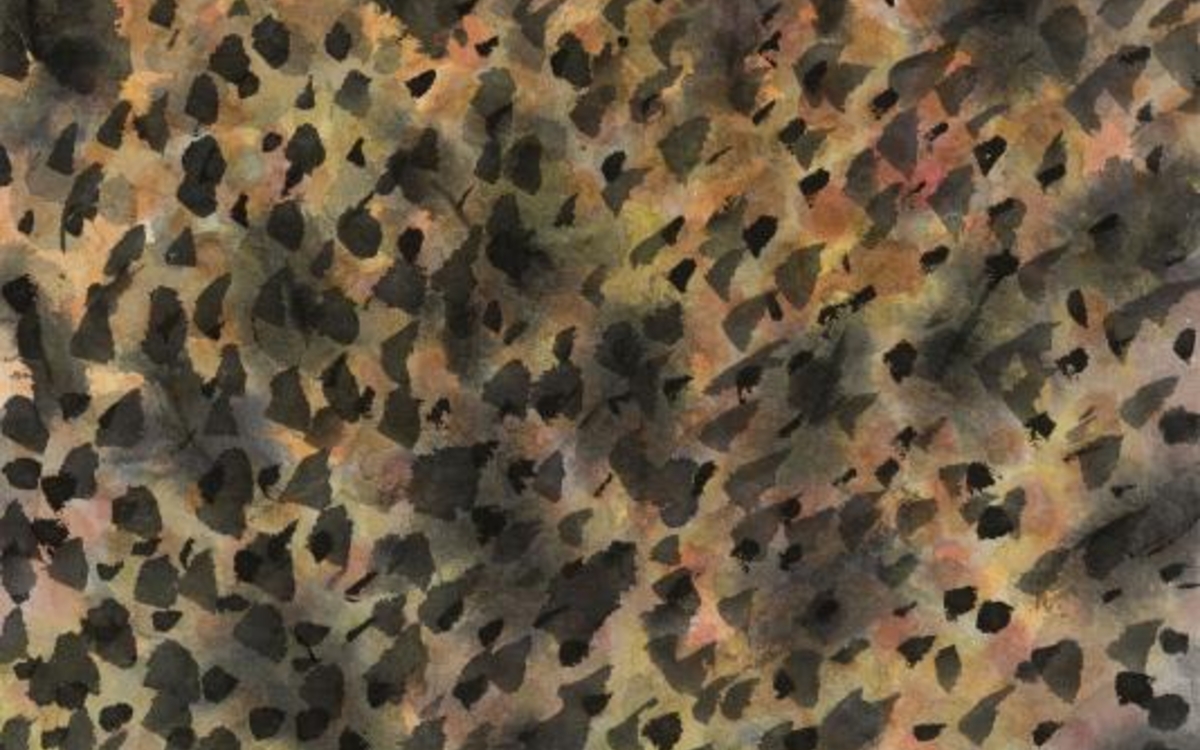 Oeuvre de l'artiste Park In-kyung