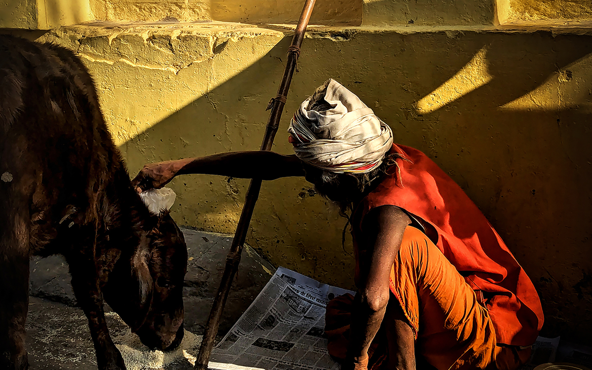Un Sādhu est un(e) ascète ou un moine dans la spiritualité indienne, ayant renoncé à la vie matérielle pour se consacrer à la réalisation spirituelle.
