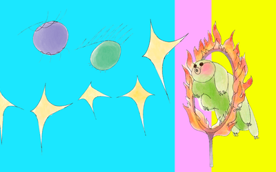 Visuels Les Grands Yeux