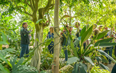 Un jardinier guide un groupe de visiteurs dans une serre au milieu d'une végétation dense