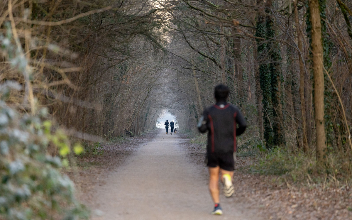 Photo d'un coureur dans le bois de Vincennes.