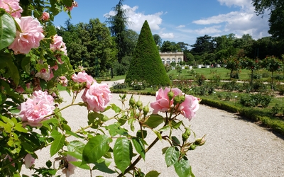 L'Orangerie Sonore