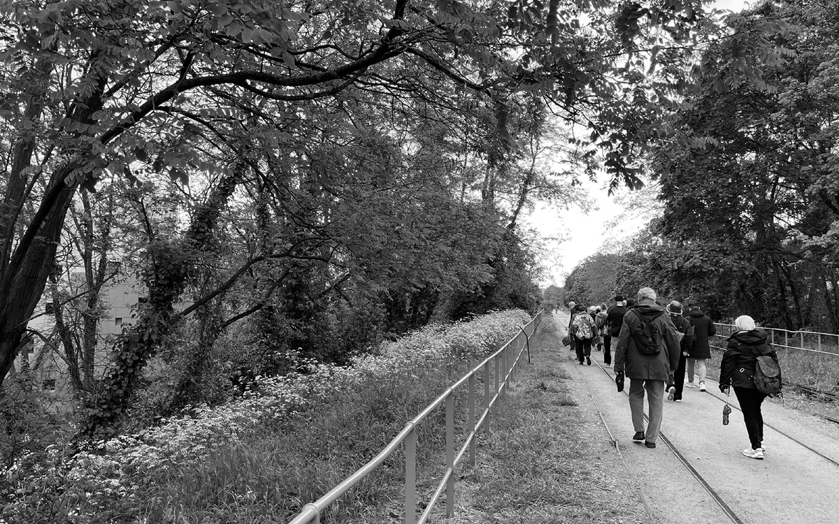 Balade en extérieur à l'occasion d'une RandoTram