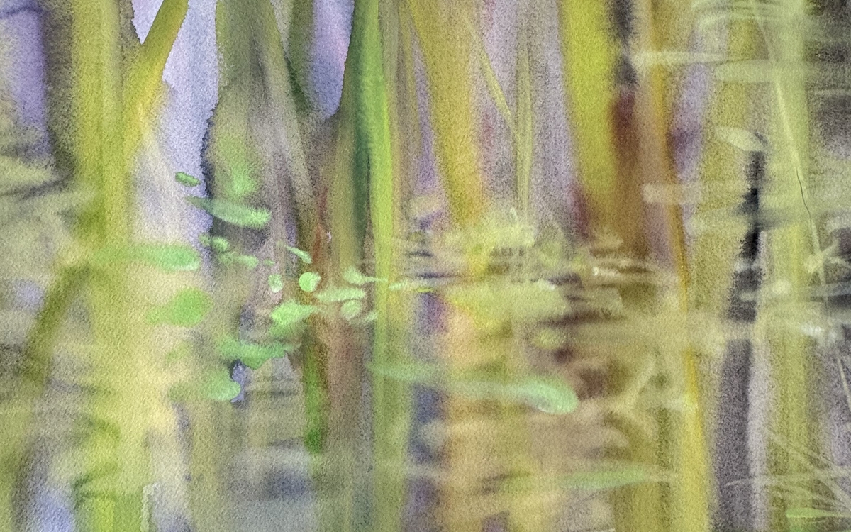 Exposition "Bambous", d'Alexandra Deman. Dessins à l'aquarelle. Mairie du 9, jusqu'au 30 mars 2026