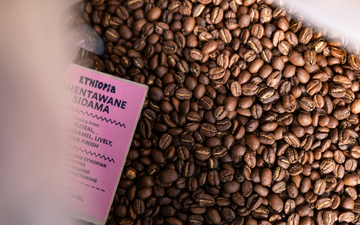 Zoom sur des grains de café