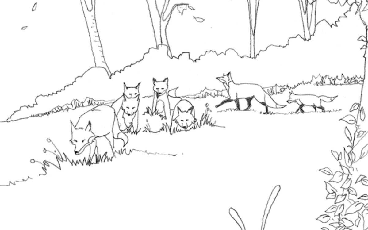 Dessin de renards