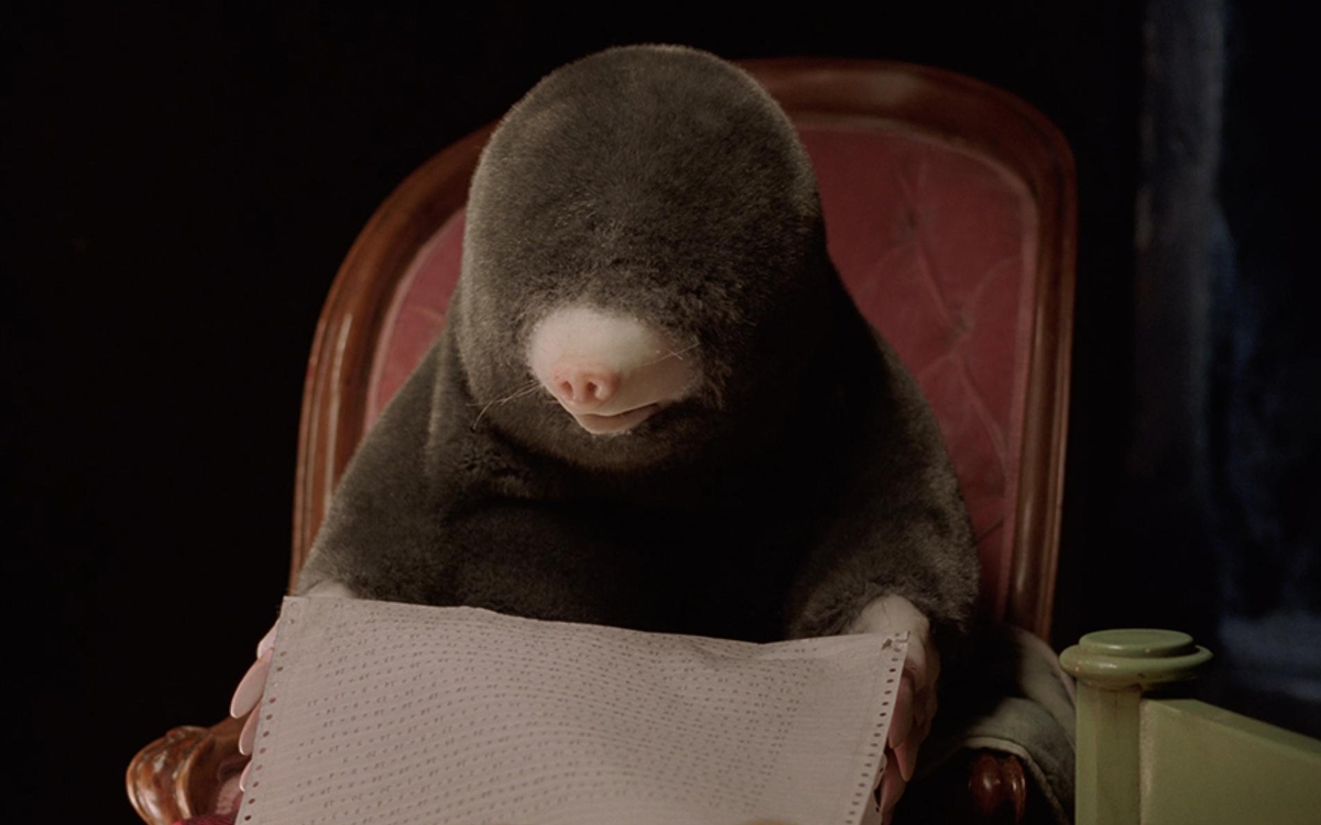 Où est Dolli ? (balade ludique 3/5 ans)