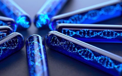 Pourquoi l’ADN est-il si important ? Il s'agit tout simplement du code biologique transmis de génération en génération, qui permet à chaque cellule de l’organisme d’exprimer les gènes nécessaires à son bon fonctionnement.