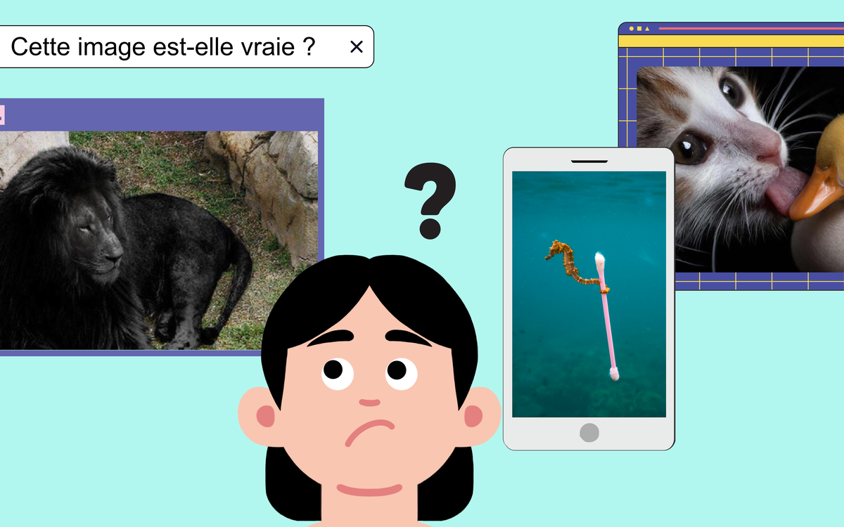 Atelier numérique&nbsp;: discerner le vrai du faux sur internet | 