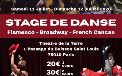 Stage danse(s)
