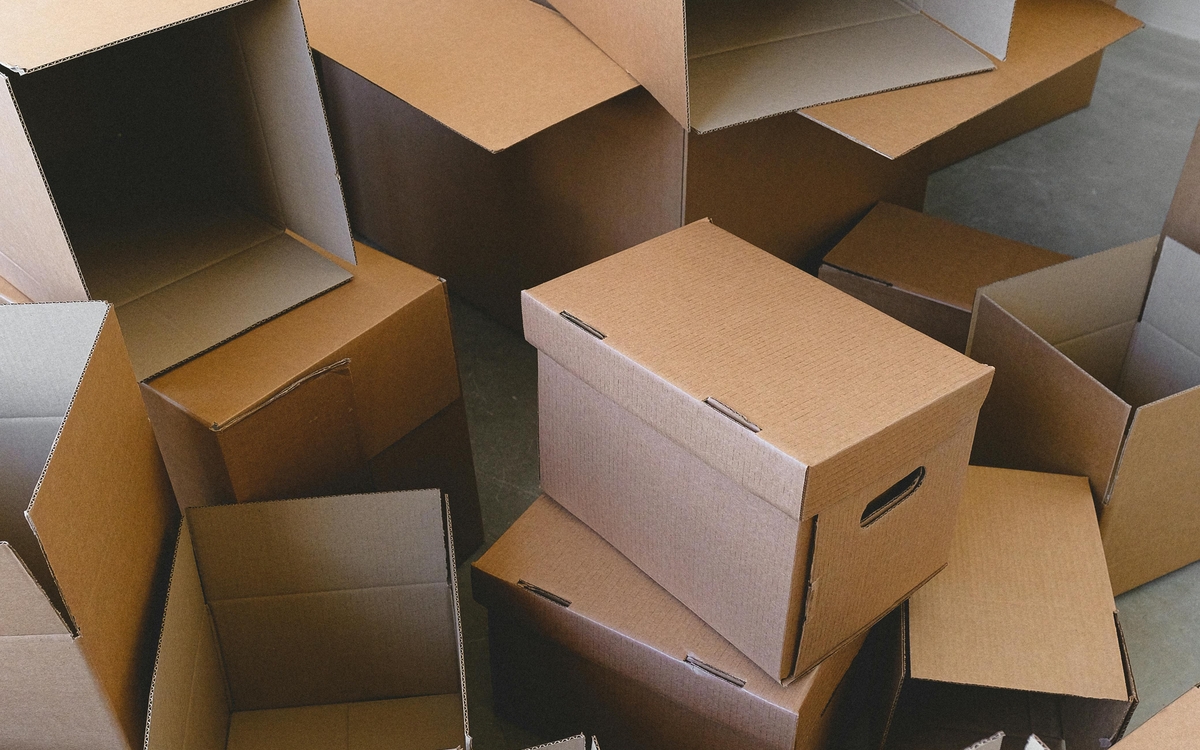 Stage d'architecture en carton