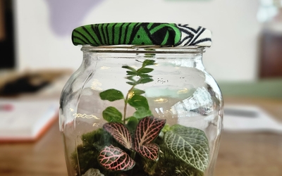 atelier terrarium paris 12