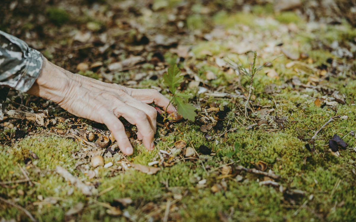 Une main touche de la mousse au sol dans une forêt