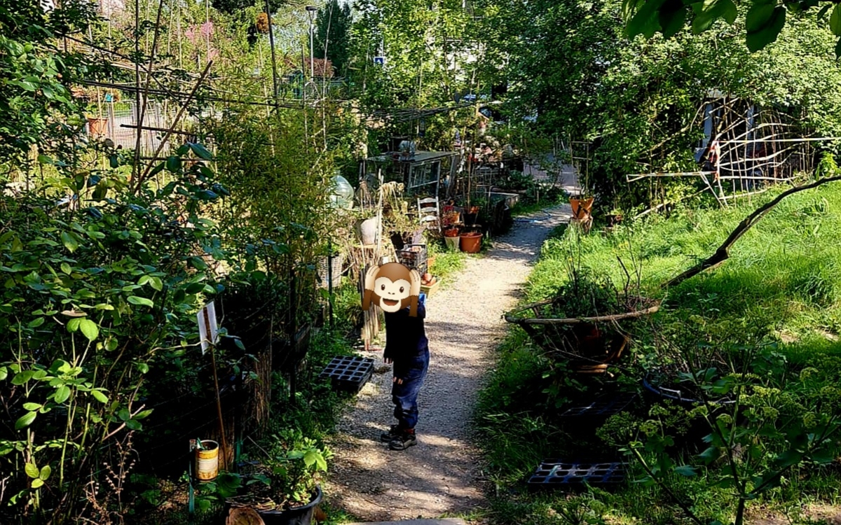 Découverte des plantes sauvages à la Gare eXPérimentale