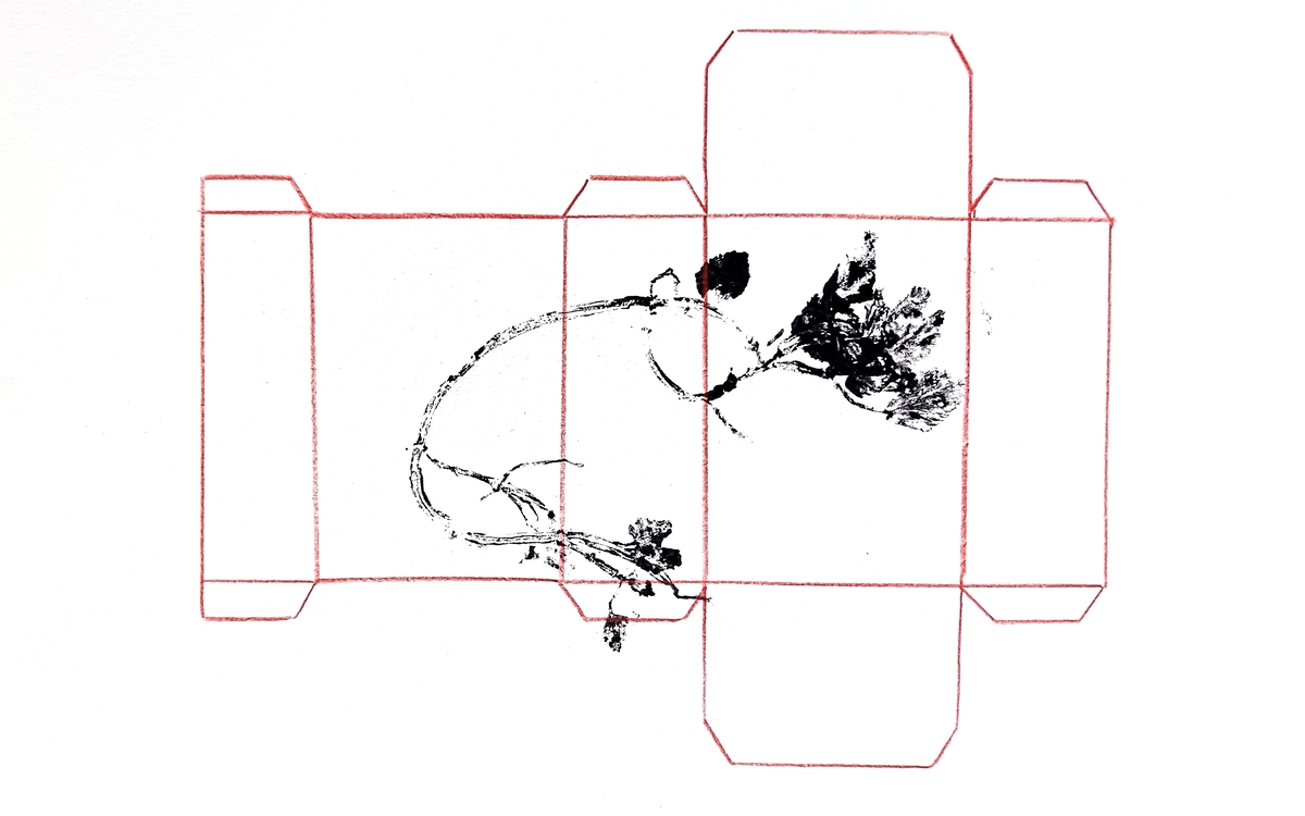 Exposition Symbiose à Rézoest