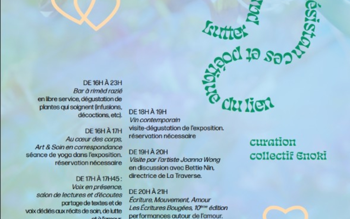 Dégustation de plantes qui soignent, infusions, décoctions - Salon Bleu