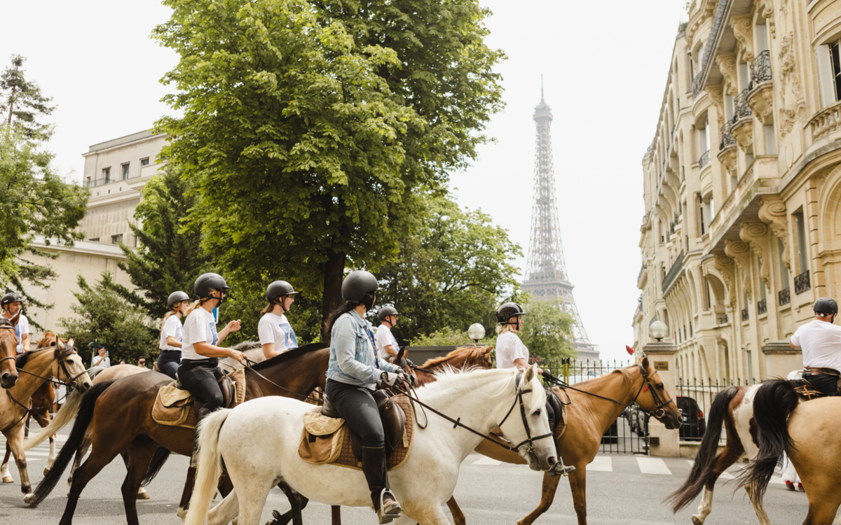 Des chevaux à Paris