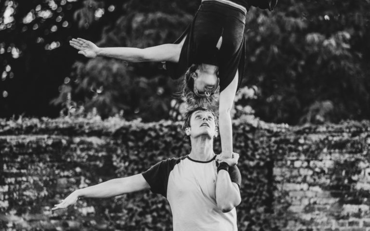 "Encore heureux !" La Scie du Bourgeon - Parvis des arts
