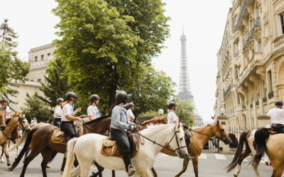 Des chevaux à Paris