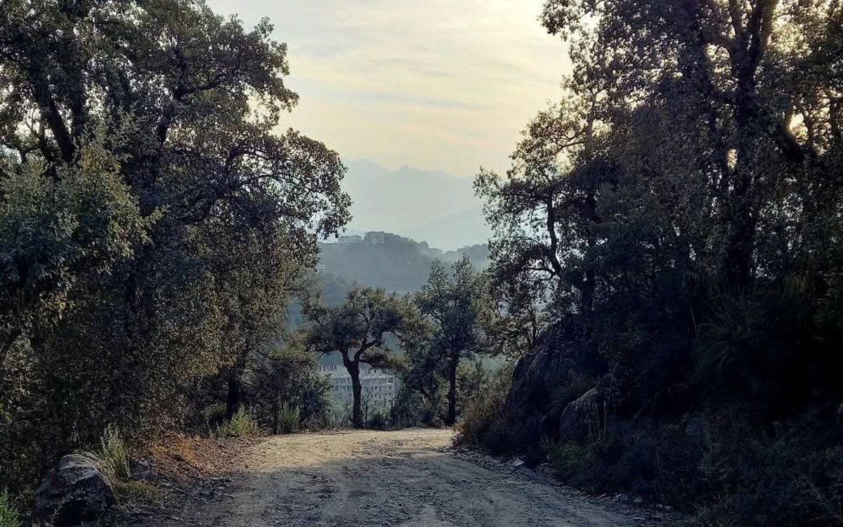 Lieux, rencontres et sentiments : photographies et poésies de Rabah Bellili