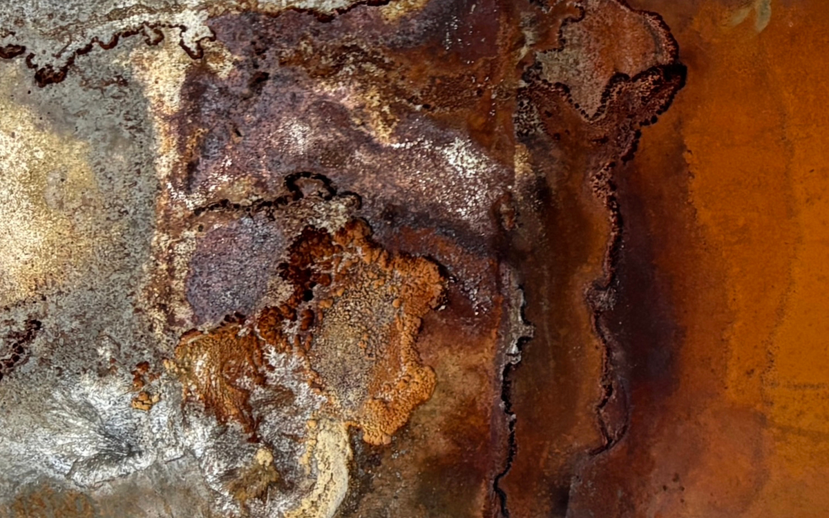 5th Floor Scholar Series - Vernissage de la prochaine exposition de Katya Vaz !