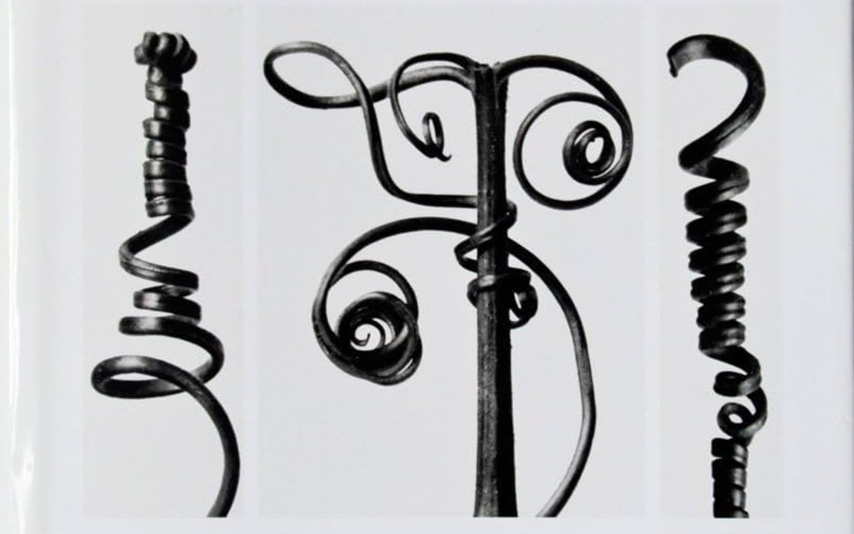 Le végétal et la Nouvelle Objectivité – Ernst Haeckel et Karl Blossfeldt