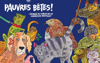 Page de la couverture du livre pauvres Bêtes de Coco avec des animaux dessinés