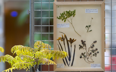 Une oeuvre de l'exposition Les Herbiers en herbe 2024