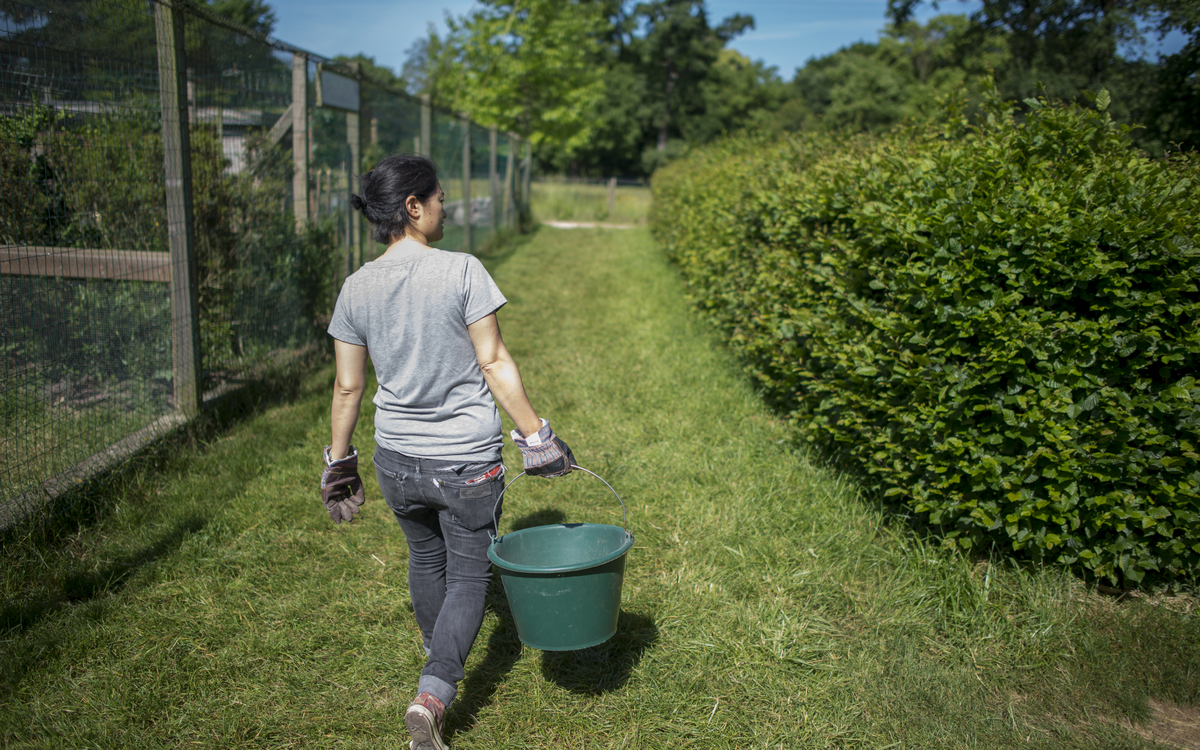 Soigneur se promenant dans la ferme 