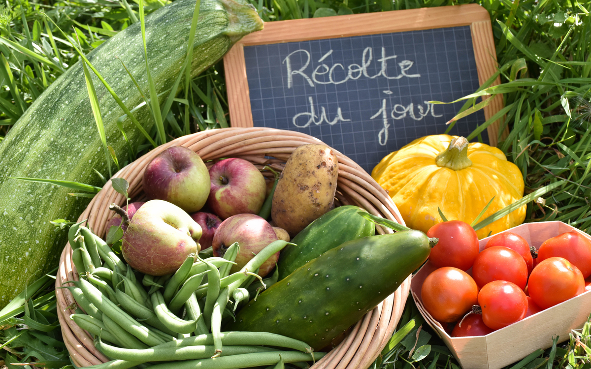 Récoltes de la ferme