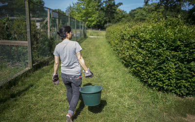 Soigneur se promenant dans la ferme 