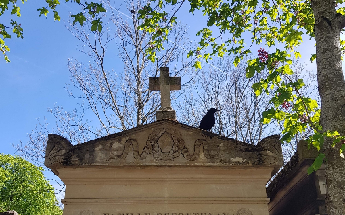 Les familles botaniques au Père-Lachaise