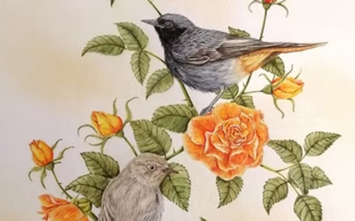 Tableaux réalisés à partir de matières naturelles