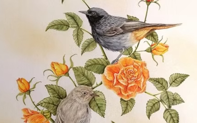 Tableaux réalisés à partir de matières naturelles