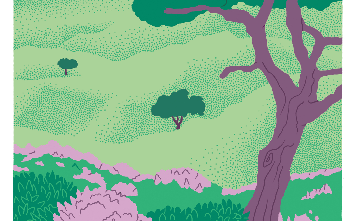 Festival Un Temps pour Elles : SOUS LES ARBRES