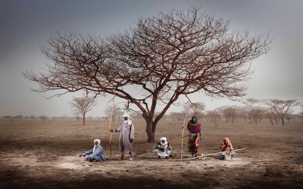 Une exposition de photographies pour mettre en lumière les arbres nourriciers du Sahel