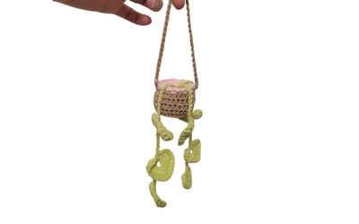 Ma plante en crochet