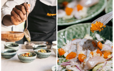 Expo « Le Goût de l'hospitalité - Refugee Food Festival »