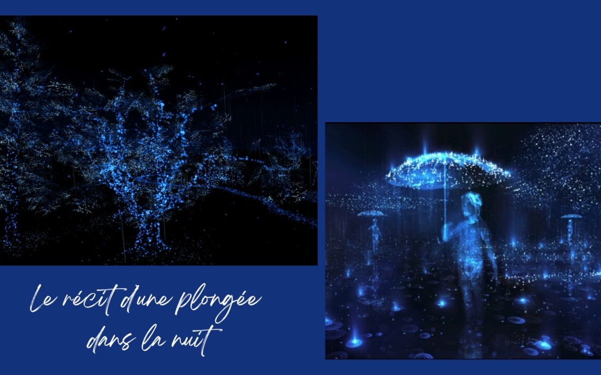 Notes on Blindness : film en réalité virtuelle