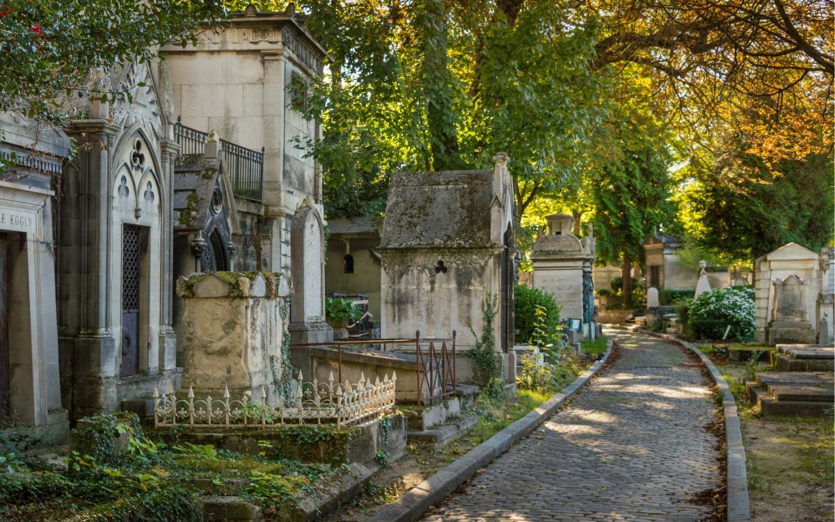 Découverte de la biodiversité au Père-Lachaise