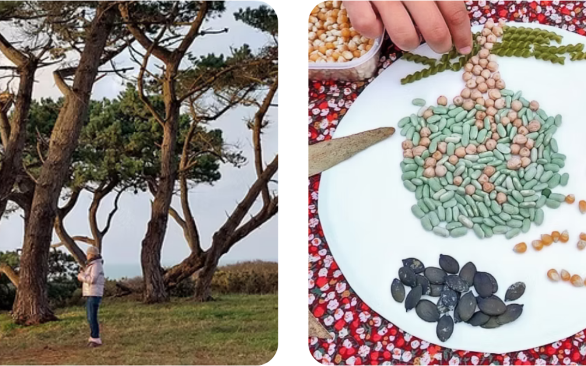 Yoga de l'arbre suivi d'un atelier créatif land art