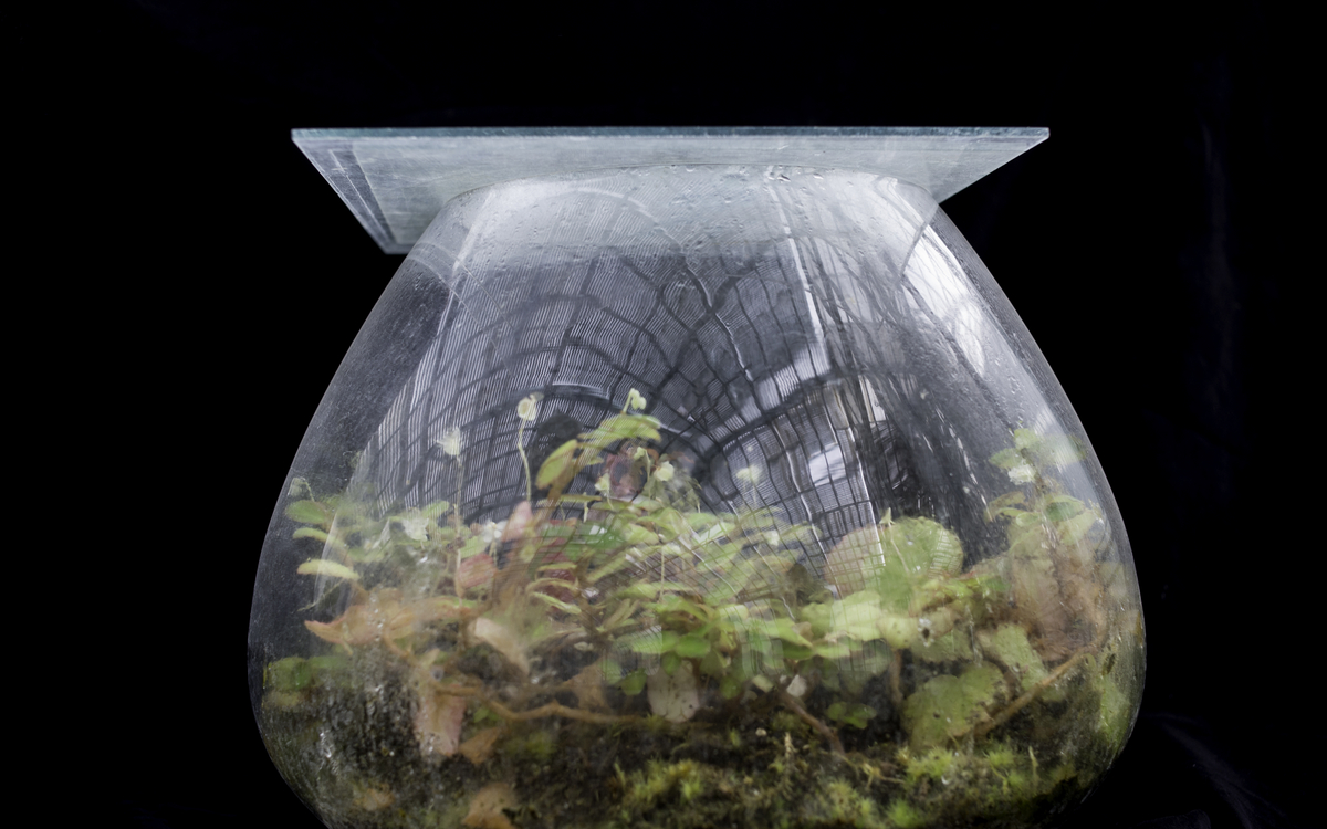 Réalisation avec des objets de récup’ d’un jardin miniature d’intérieur
